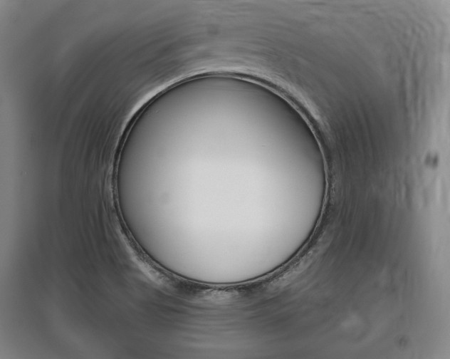 X0000095881513200801110752