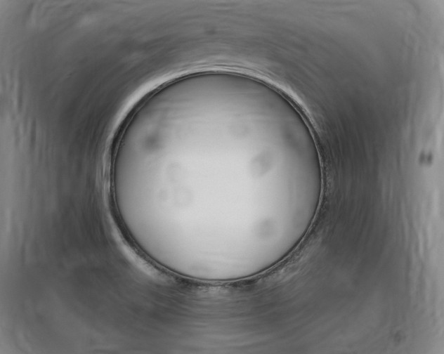 X0000095881515200801110752