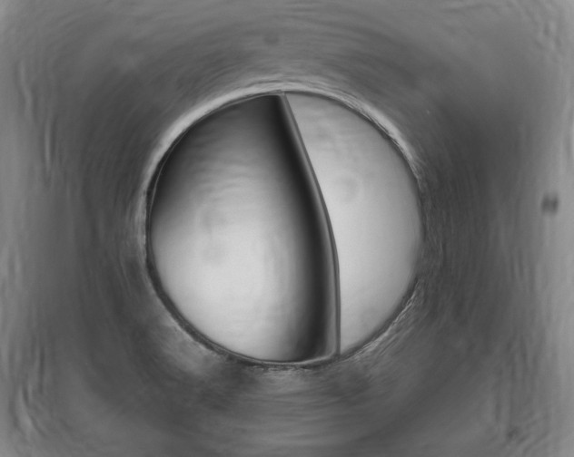 X0000095881516200801110752