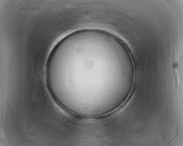 X0000095881517200801110752