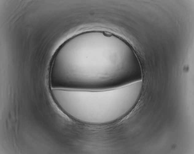 X0000095881518200801110752