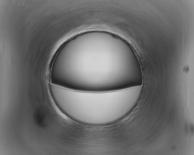 X0000095881519200801110752