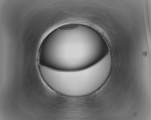 X0000095881520200801110752