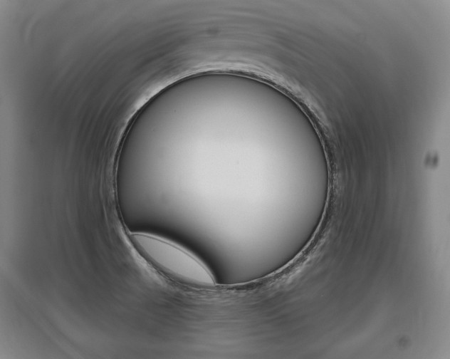 X0000095881521200801110752