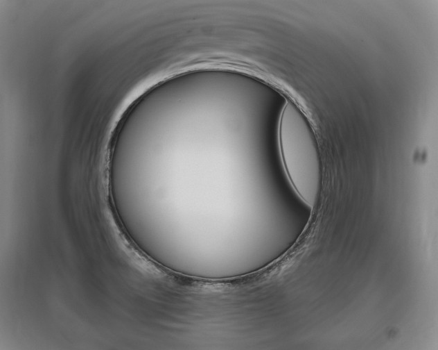 X0000095881522200801110752
