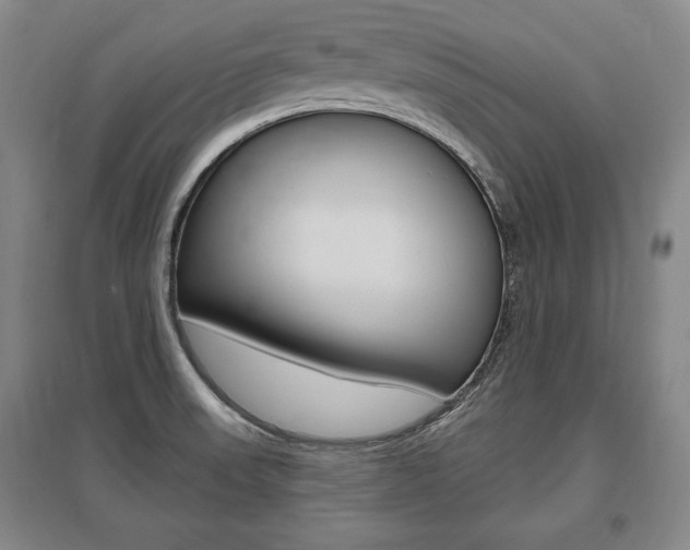 X0000095881523200801110752