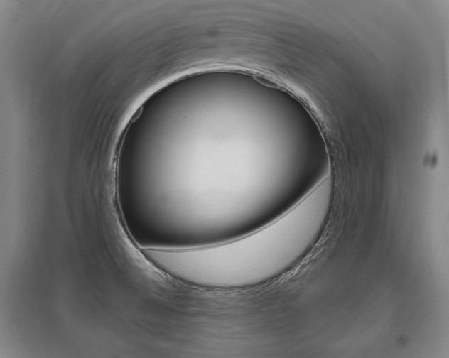X0000095881524200801110752