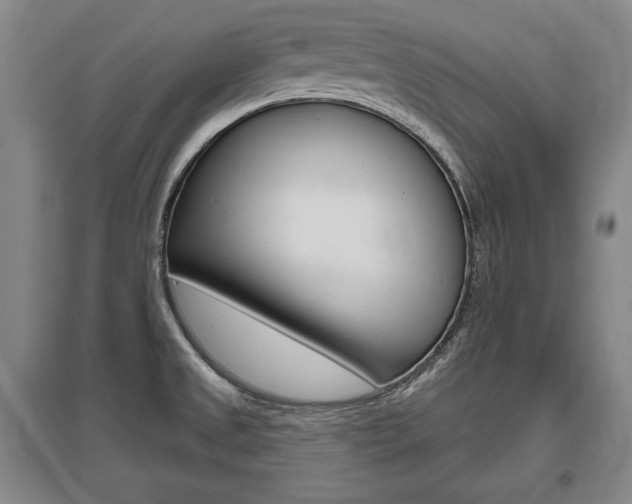 X0000095881525200801110752