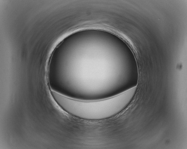 X0000095881528200801110752