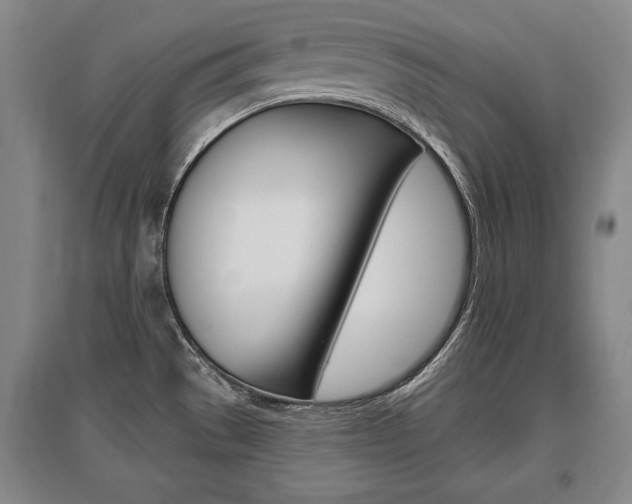 X0000095881529200801110752