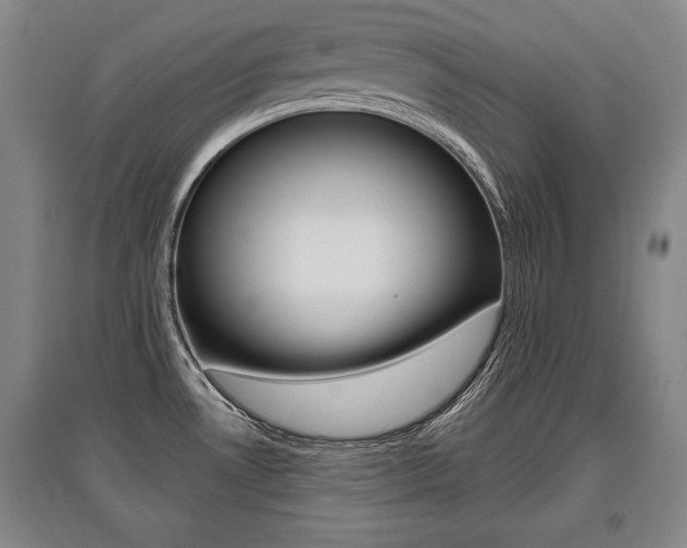 X0000095881530200801110752