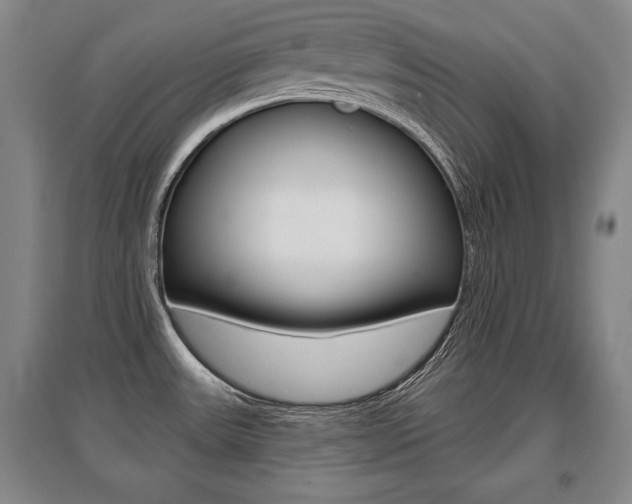 X0000095881531200801110752