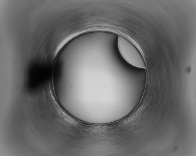 X0000095881533200801110752