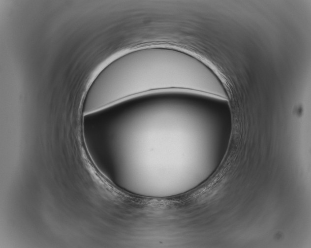 X0000095881534200801110752
