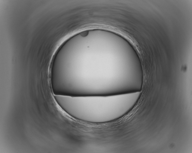 X0000095881535200801110752