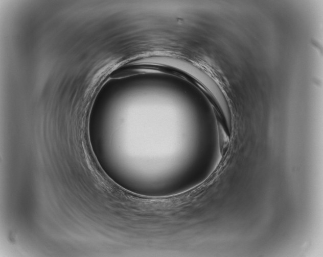 X0000095880001200801111143