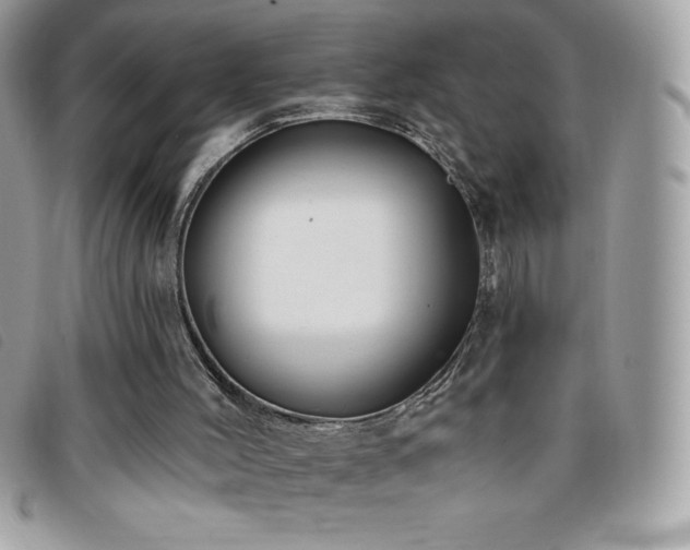 X0000095880004200801111143