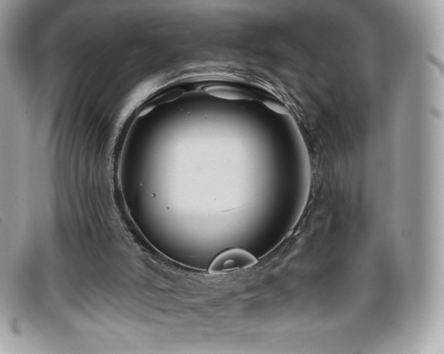 X0000095880006200801111143