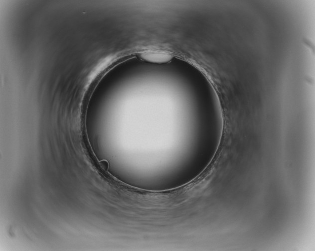 X0000095880008200801111143