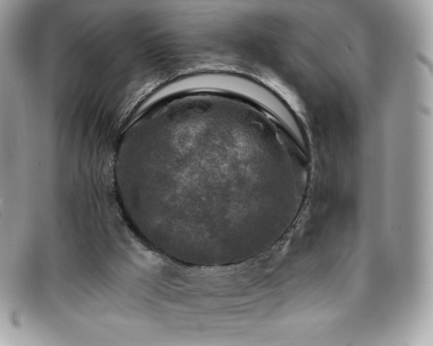 X0000095880009200801111143