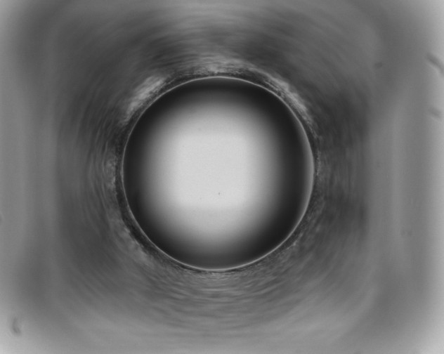 X0000095880010200801111143
