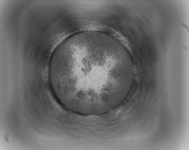 X0000095880012200801111143