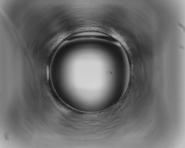 X0000095880013200801111143