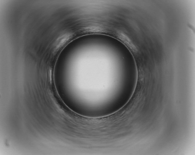 X0000095880014200801111143