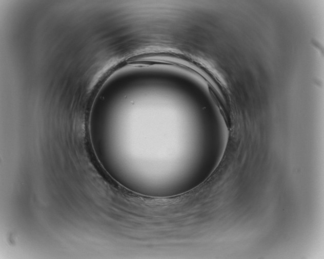 X0000095880015200801111143