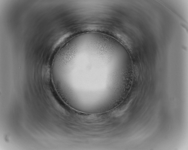 X0000095880016200801111143