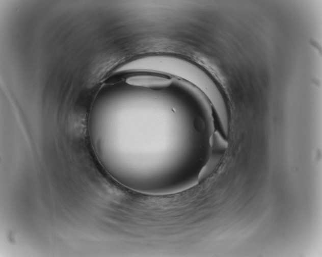 X0000095880017200801111143