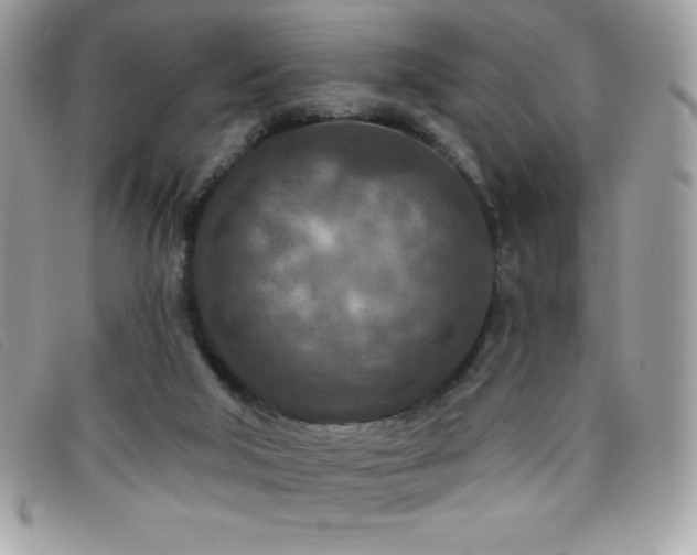 X0000095880018200801111143