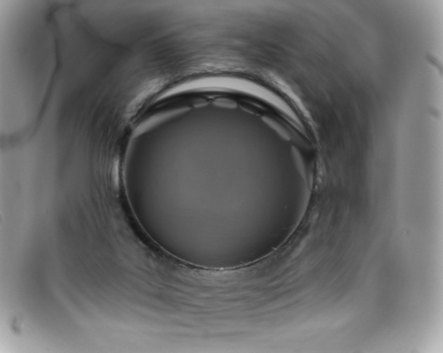 X0000095880019200801111143