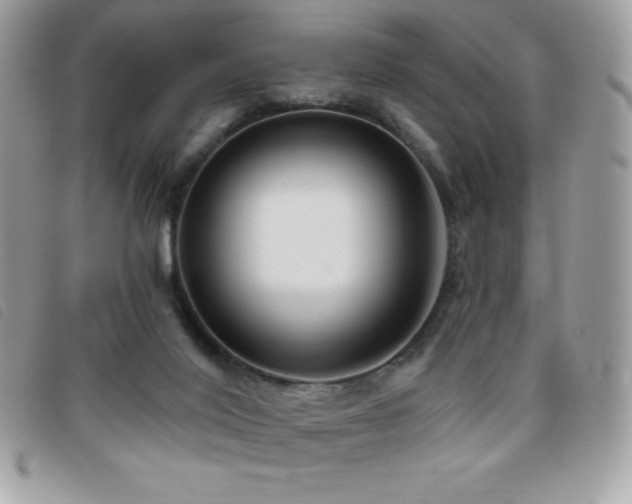 X0000095880020200801111143