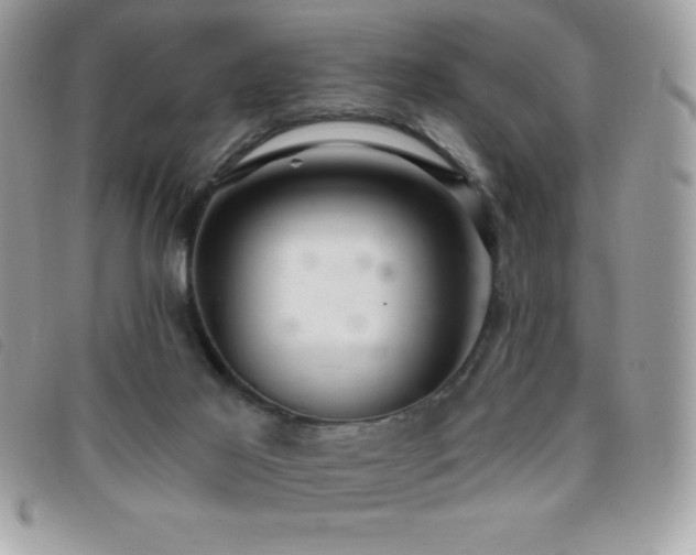X0000095880021200801111143