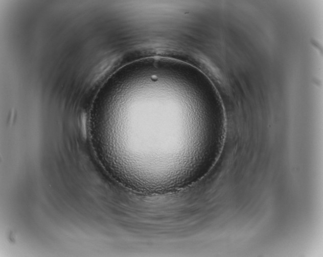 X0000095880022200801111143