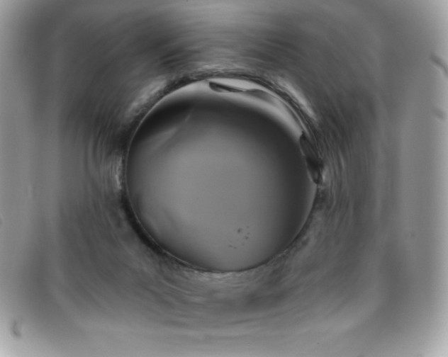 X0000095880023200801111143
