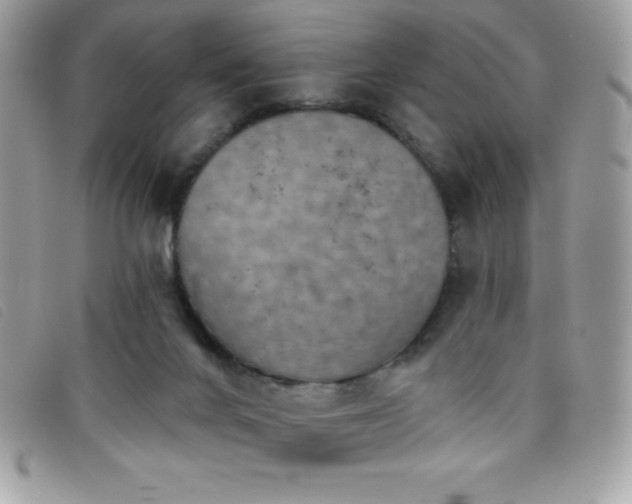 X0000095880024200801111143