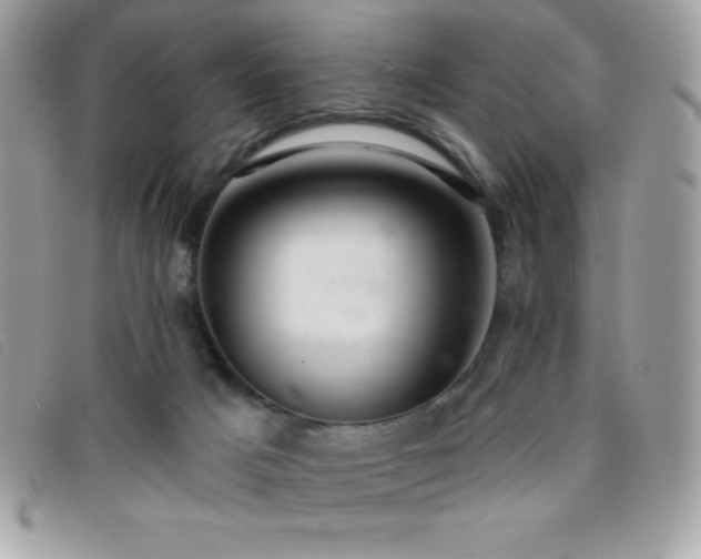 X0000095880025200801111143
