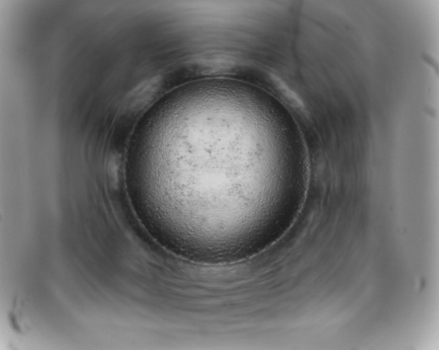 X0000095880026200801111143