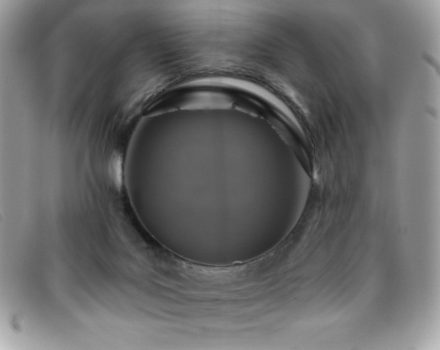 X0000095880027200801111143