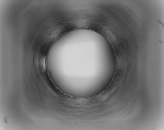X0000095880028200801111143