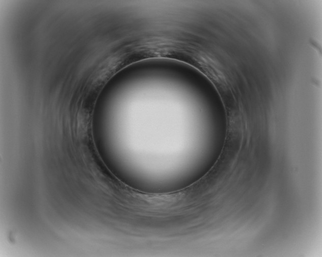 X0000095880030200801111143