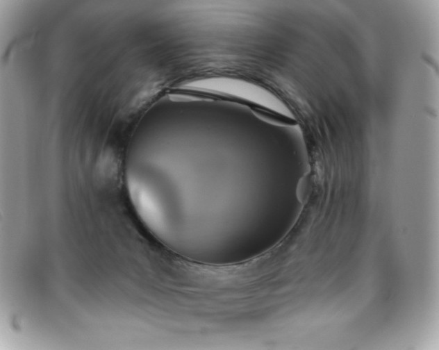 X0000095880031200801111143