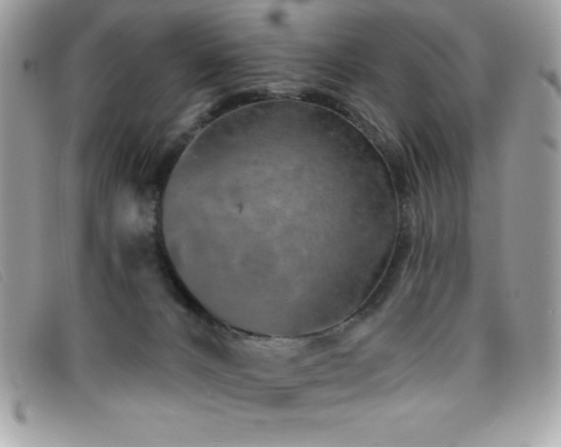 X0000095880032200801111143