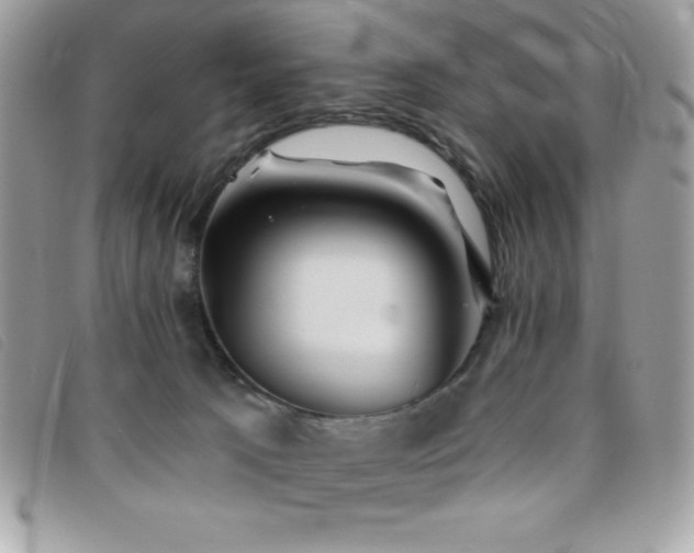 X0000095880033200801111143
