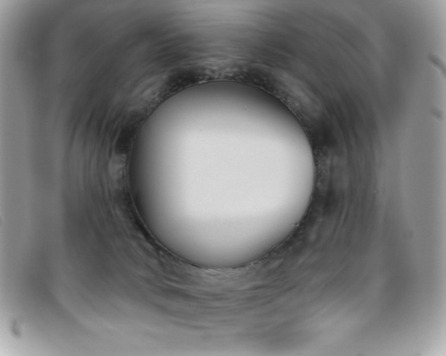 X0000095880034200801111143