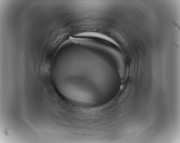 X0000095880035200801111143