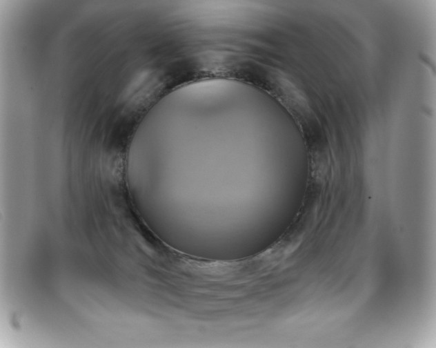 X0000095880036200801111143