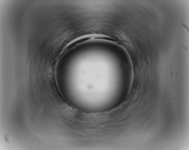 X0000095880037200801111143